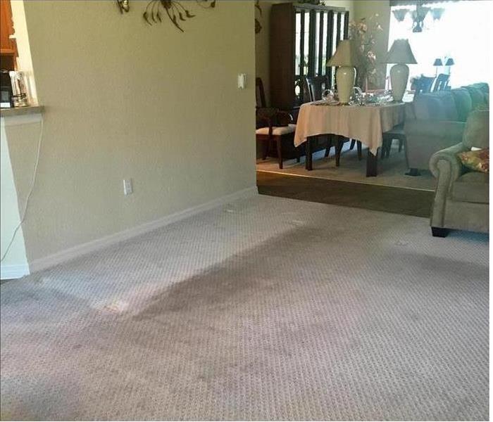 dirty wet carpet in a living room in Orlando, FL