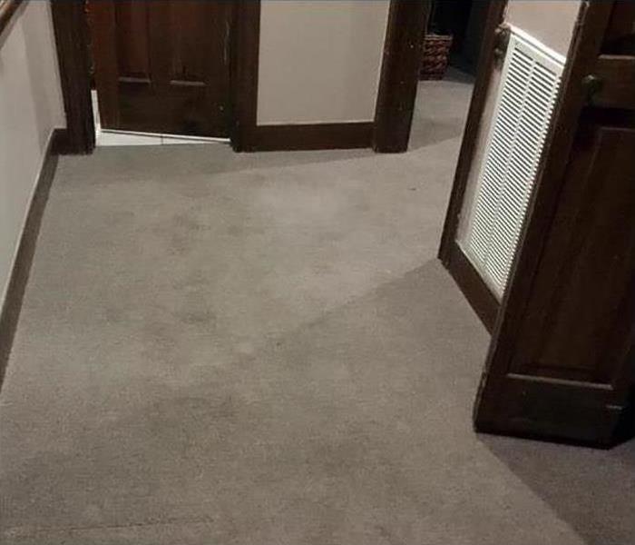 clean and dry carpet in an office building in Orlando, FL