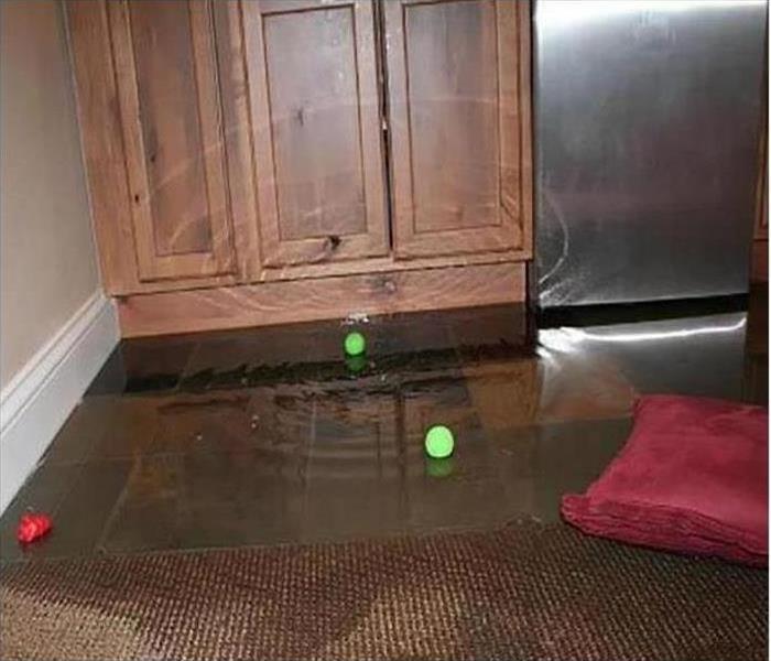 water leak on kitchen floor in a home in Orlando, FL