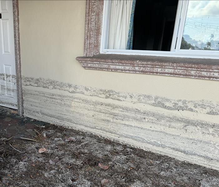 Mold damage